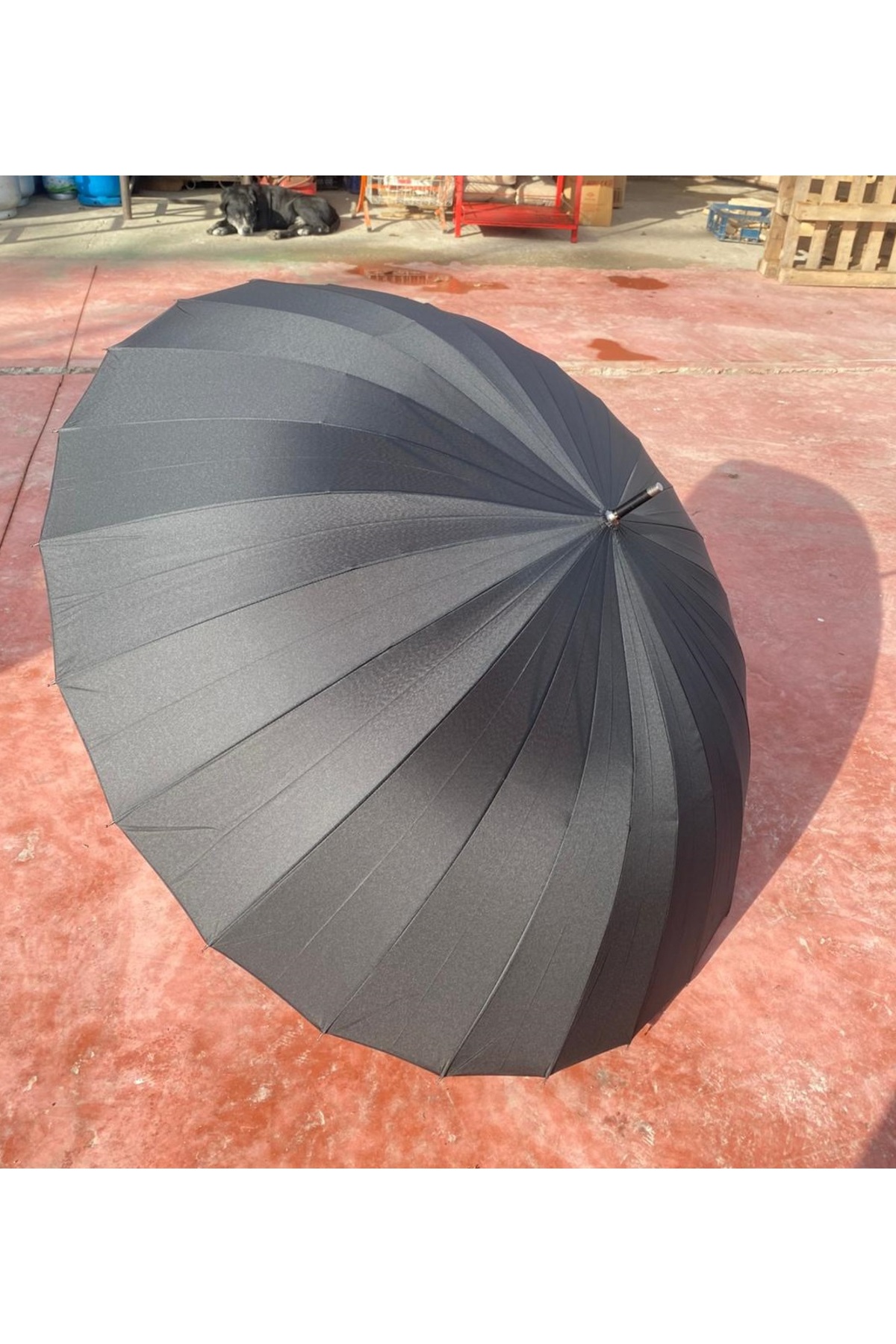 24 Telli Gerçek Baston Şemsiye | 100 cm Geniş Çap | Ahşap Sap | Su Tutmaz | Omuz Askılı Kılıflı 2