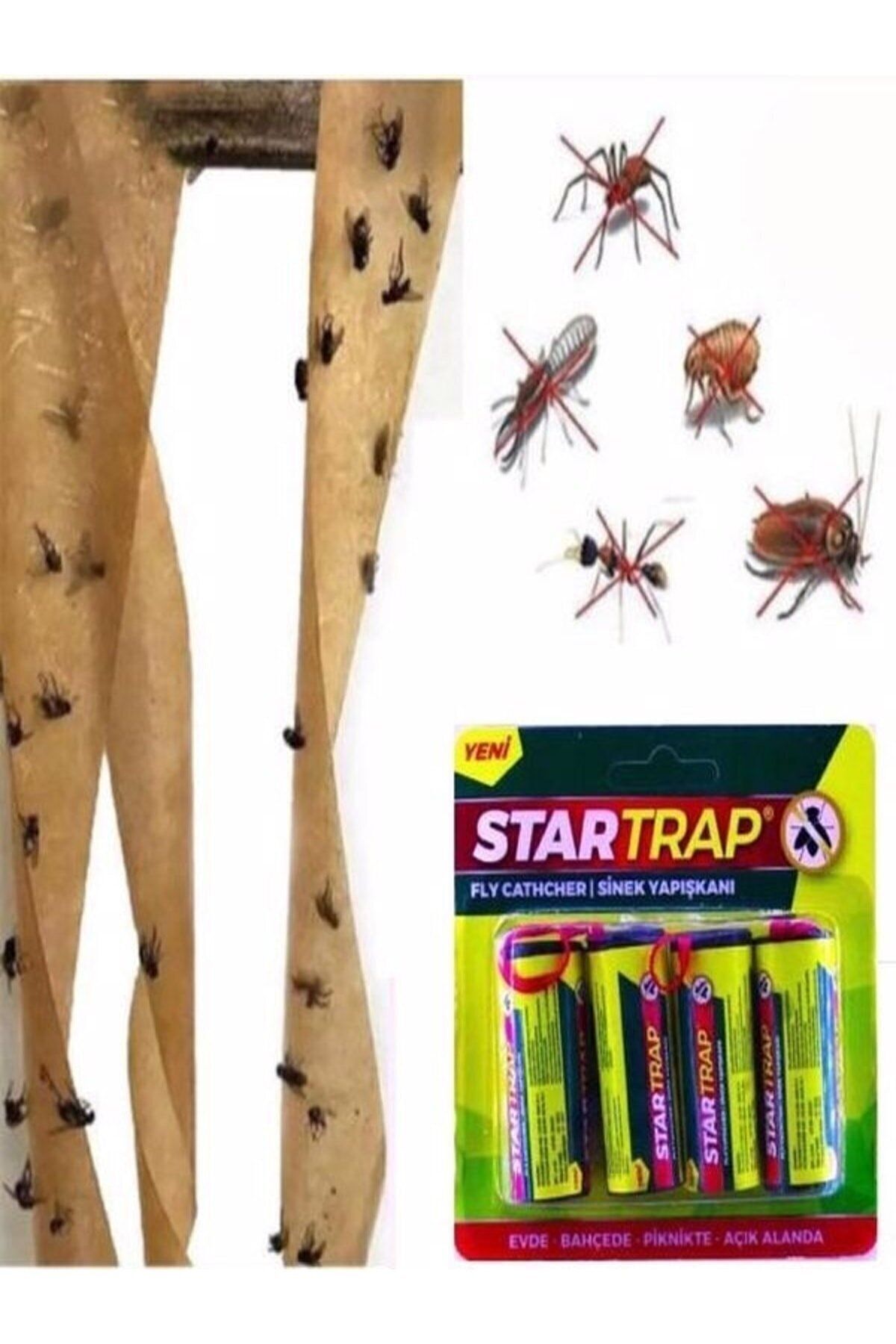 Startrap 24 Adet Sinek Bandı Sinek Yapışkanı Kartuş Fly Cathcher 2