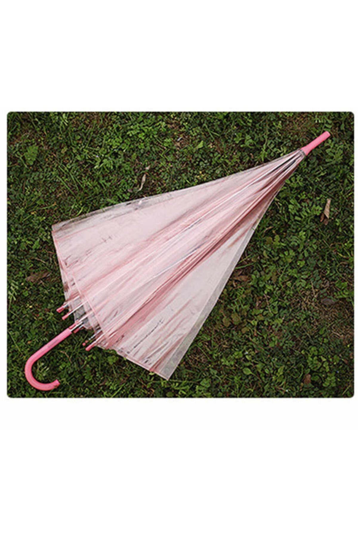 Şeffaf Pembe Şemsiye 2