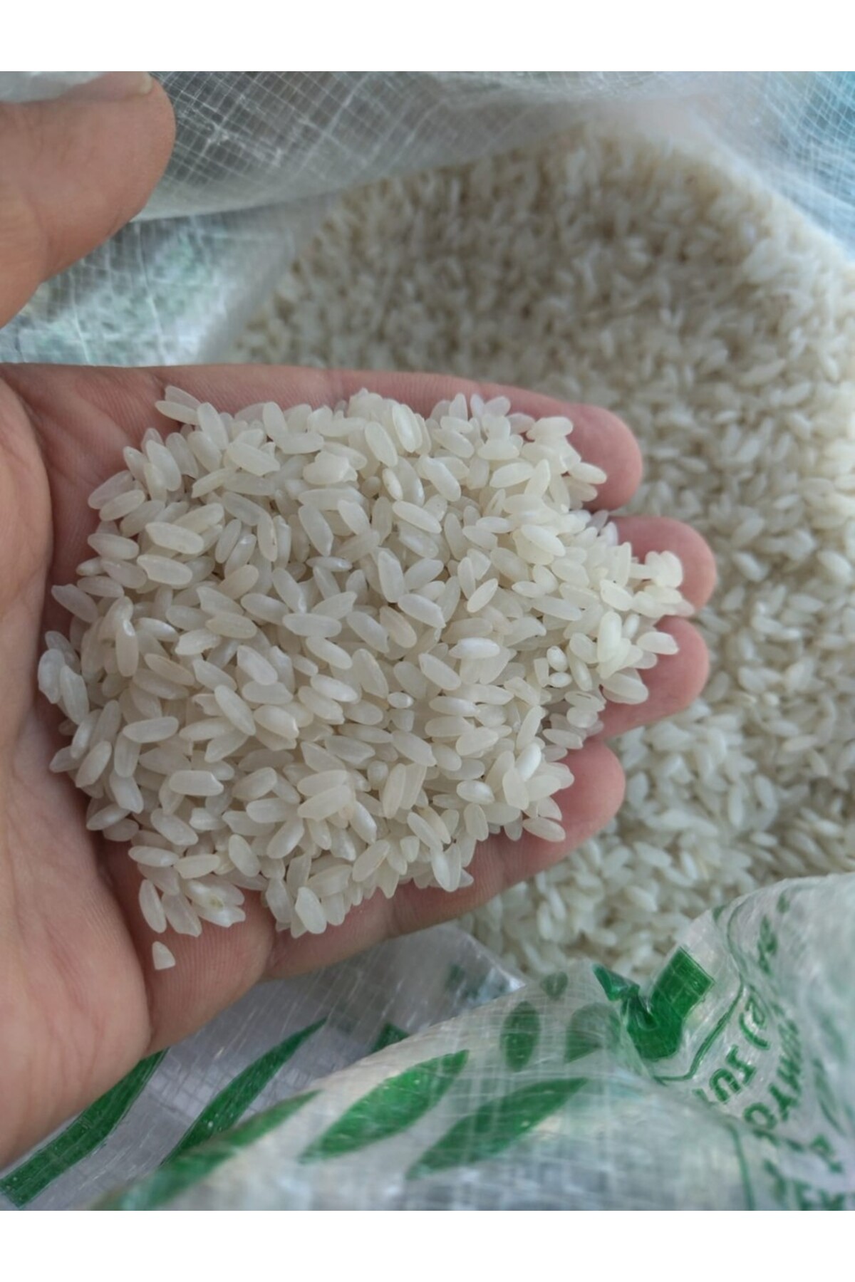 Terme Uzun Tane 5 Kg Yeni Hasat 2025 Yaz Hasatı 2