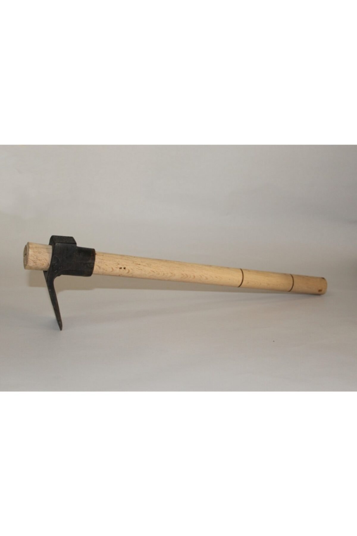 Arıcı Keseri - 1