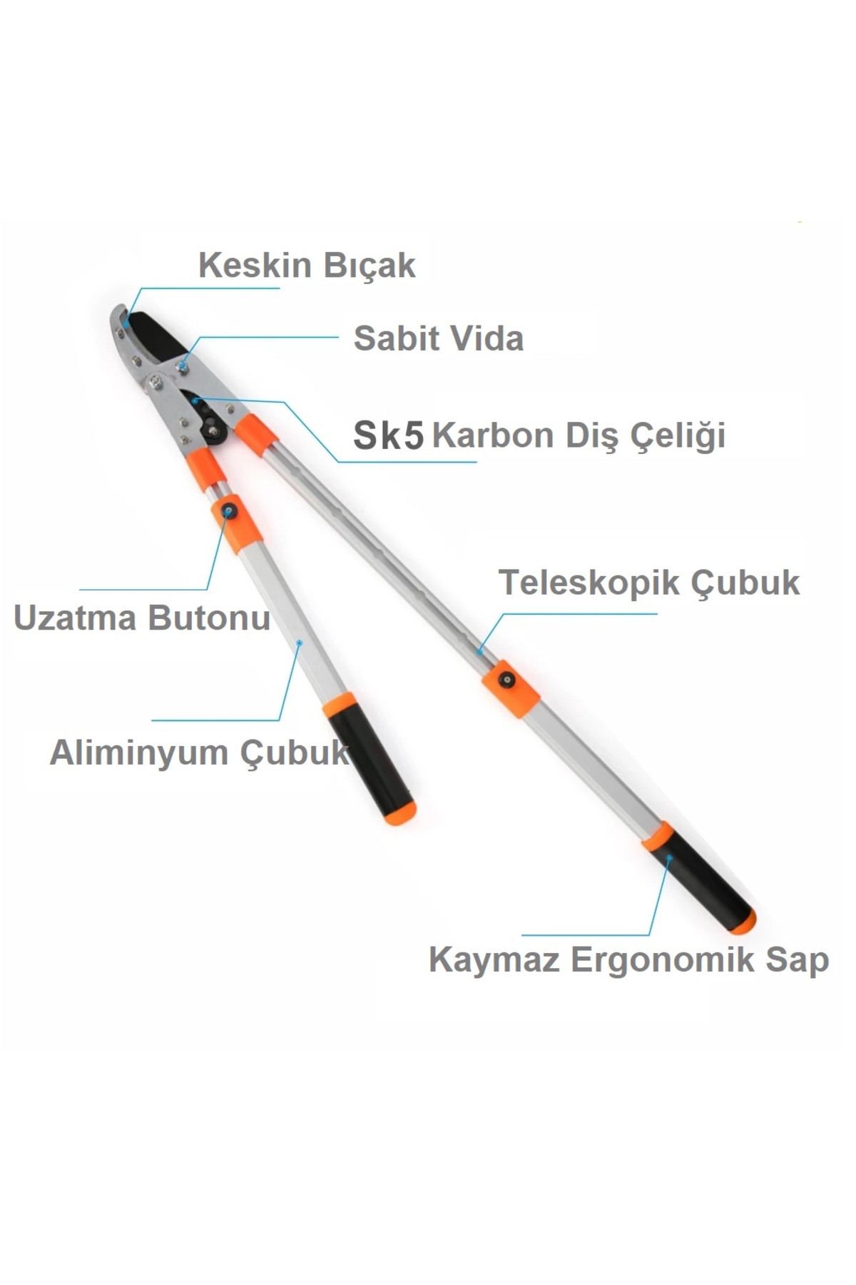 Bhd Dal Budama Makası Uzatmalı Teleskopik Anvil Ağaç Budama Ve 1 Pkt Orange Ev Tipi Iğne 5
